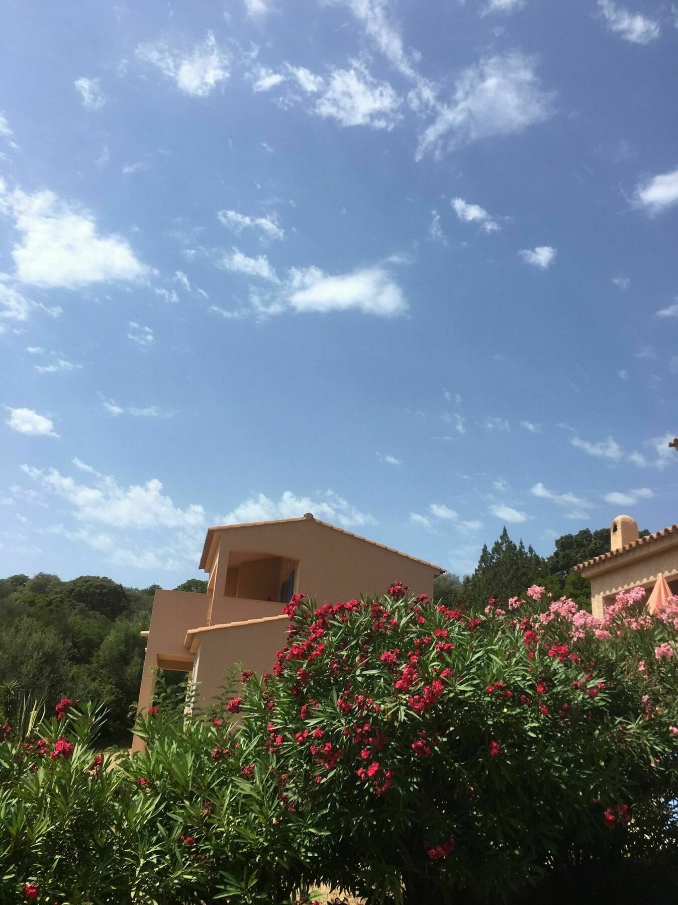 Residence U Latonu - Palombaggia Porto-Vecchio  Exterior foto